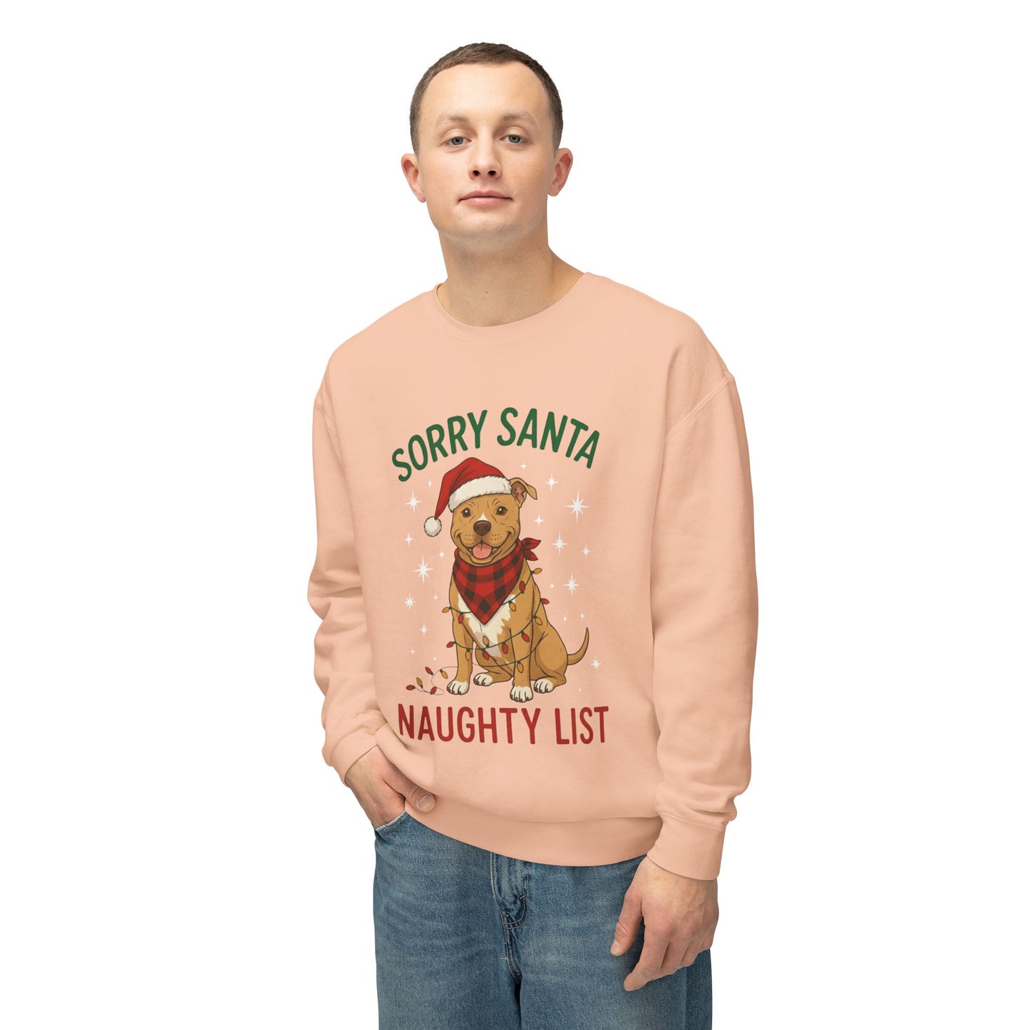 Copy of Unisex Lightweight Crewneck Sweatshirt